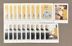 WIND.BREAKER ぱしゃこれ 楡井 秋彦