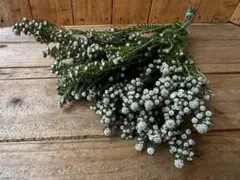 maruko様 リクエスト 2点 まとめ商品