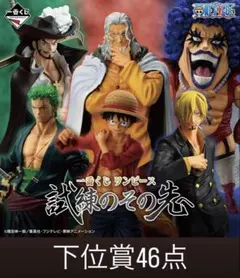 ワンピース 試練のその先へ 一番くじ 46点セット