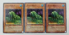 遊戯王　沼地の魔獣王　ノーマル　3枚