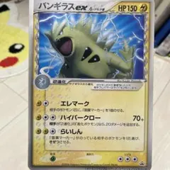 2025年最新】ポケモンジャングルツアーズの人気アイテム - メルカリ