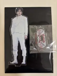 StrayKids スキズ　VR アクスタ　チャンビン