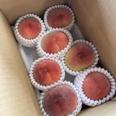 桃　山梨の桃　家庭用　もも　peachのサムネイル
