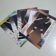 ハイキュー 購入特典 ポストカード 5枚セット