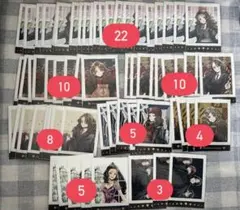 ハリーポッター　ハーマイオニーセット 67枚　ぱしゃこれ