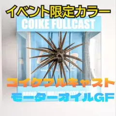 次回生産未定 コイケフルキャスト2個セット - メルカリ