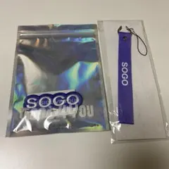 アイナナ G4Y 逢坂壮五 ペンライト ストラップ ワッペンバッジ ネームバッジ