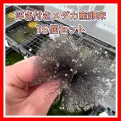 めだか産卵床浮き付き15個セットのサムネイル