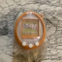 ★ やんぐまめっち