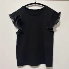 Item thumbnail for item 710b8528-21a4-468c-8739-e2d12ef8e73a