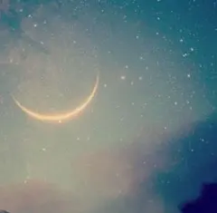 2025年最新】Selecta ベビージムの人気アイテム - メルカリ