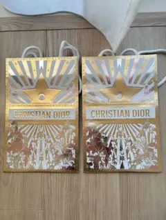CHRISTIAN DIOR ショッピングバッグ 2枚セット