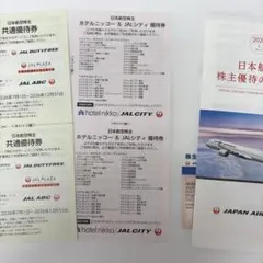日本航空 株主優待券 ホテル割引券セットのサムネイル