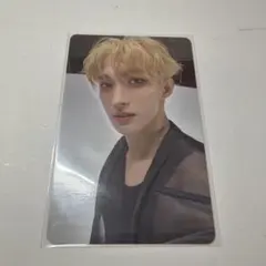 SEVENTEEN ドギョム トレカ 17 is right here 会場限定