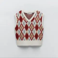 zara ニットベスト　ザラ　ジレ