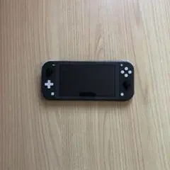 Nintendo Switch Lite グレー 本体　　ジャンク品です。