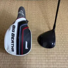 Item thumbnail for item 1925219c-6113-4ea4-9d2a-0cec3db5665d