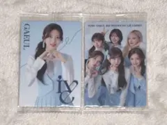 IVE ウエハース ガウル 集合