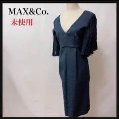 【未使用】MAX&Co. マックスアンドコー⭐️袖シフォン膝丈ワンピース XL
