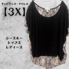 アンビアンス・アパレル 【3X】ラウンドネック 黒 半袖トップス シースルー