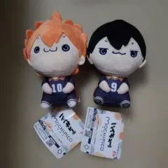 【１】ハイキュー　もちぴこ　日向翔陽&影山飛雄