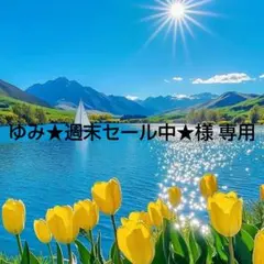 ゆみ★週末セール中★様 専用