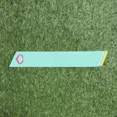 Item thumbnail for item 79b3df6f-91da-4f8d-9087-dd3699dce1ab