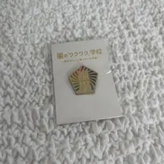 嵐　ワクワク学校　ピンバッジ　ARASHI グッズ