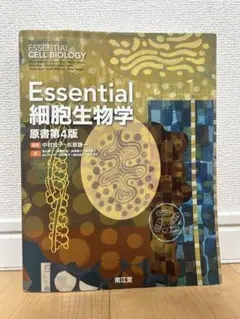 Item thumbnail for item d38825c1-0387-4bb9-be29-c09f57533cd8