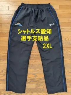 Item thumbnail for item 0f4d1744-8b2b-4543-a96d-abd9dc5d8223