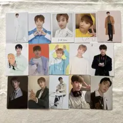 SEVENTEEN ドギョムトレカ　15枚セット