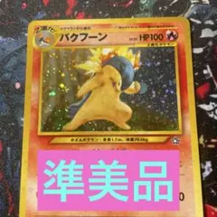 Item thumbnail for item 70f25223-04d9-4129-a30a-f13e84000c14