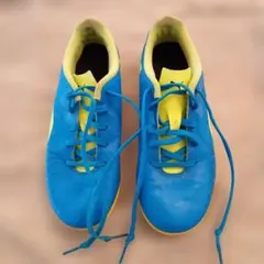 Item thumbnail for item f9660f3a-63fa-4566-8613-d92489f8cda8