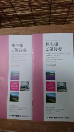 東急不動産ホールディングス株主優待券２セット