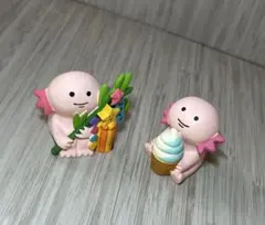 コンコンブル　ウーパールーパー　まとめ売り