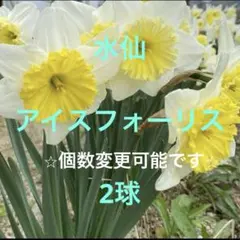 こうにゅうしゃ様 リクエスト 3点 まとめ商品