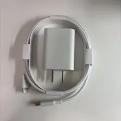 Google18W急速充電器, C to Cケーブル