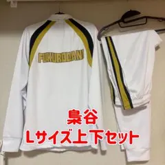 Item thumbnail for item 704919e6-398f-4b30-b55c-69ed00668d09