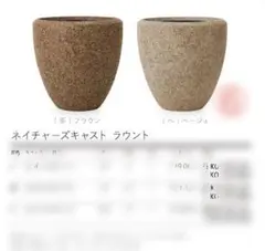2026年最新】solso 鉢の人気アイテム - メルカリ