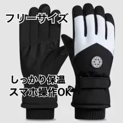 Item thumbnail for item fa82961f-cc1e-4a25-b6de-de66c54bf68c