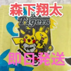 2026年最新】Pokemon チーム(球団)名：阪神タイガース 野球 応援グッズ