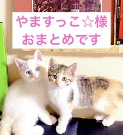 やますっこ☆のんびり対応様 リクエスト 5点 まとめ商品