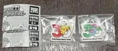 【即日配送】ポケモン 30周年記念 メタルチャーム めじるしアクセサリー 2点