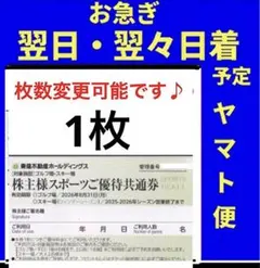 スキー場リフト券割引券ハンターマウンテン塩原 ニセコ東急グランヒラフお急ぎ便aq