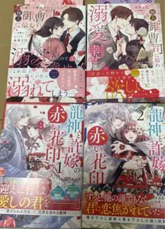 人違いで解雇されましたが、極上御曹司に拾われ溺愛されたので幸せです!1