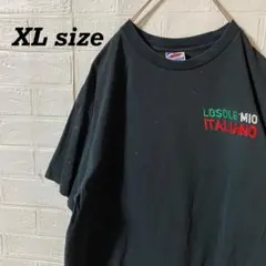 90s USA製 ビンテージTシャツ イタリア　総刺繍
