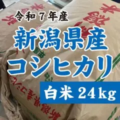 24kg 新潟産 コシヒカリ 米 R7年のサムネイル