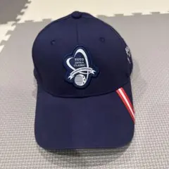 Item thumbnail for item 437a654d-fdc3-4a88-99df-0a462d63f4a9