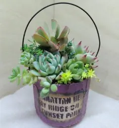 乙女心＆虹のたま 寄せ植え +ハンドメイドリメ缶 - メルカリ
