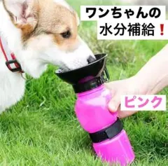 Item thumbnail for item 41b862ff-6eaf-41b0-b468-6f1d68a15873